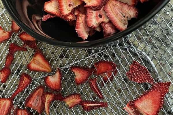 تصویر 1 از راهنمای خرید میوه توت فرنگی خشک + قیمت عالی